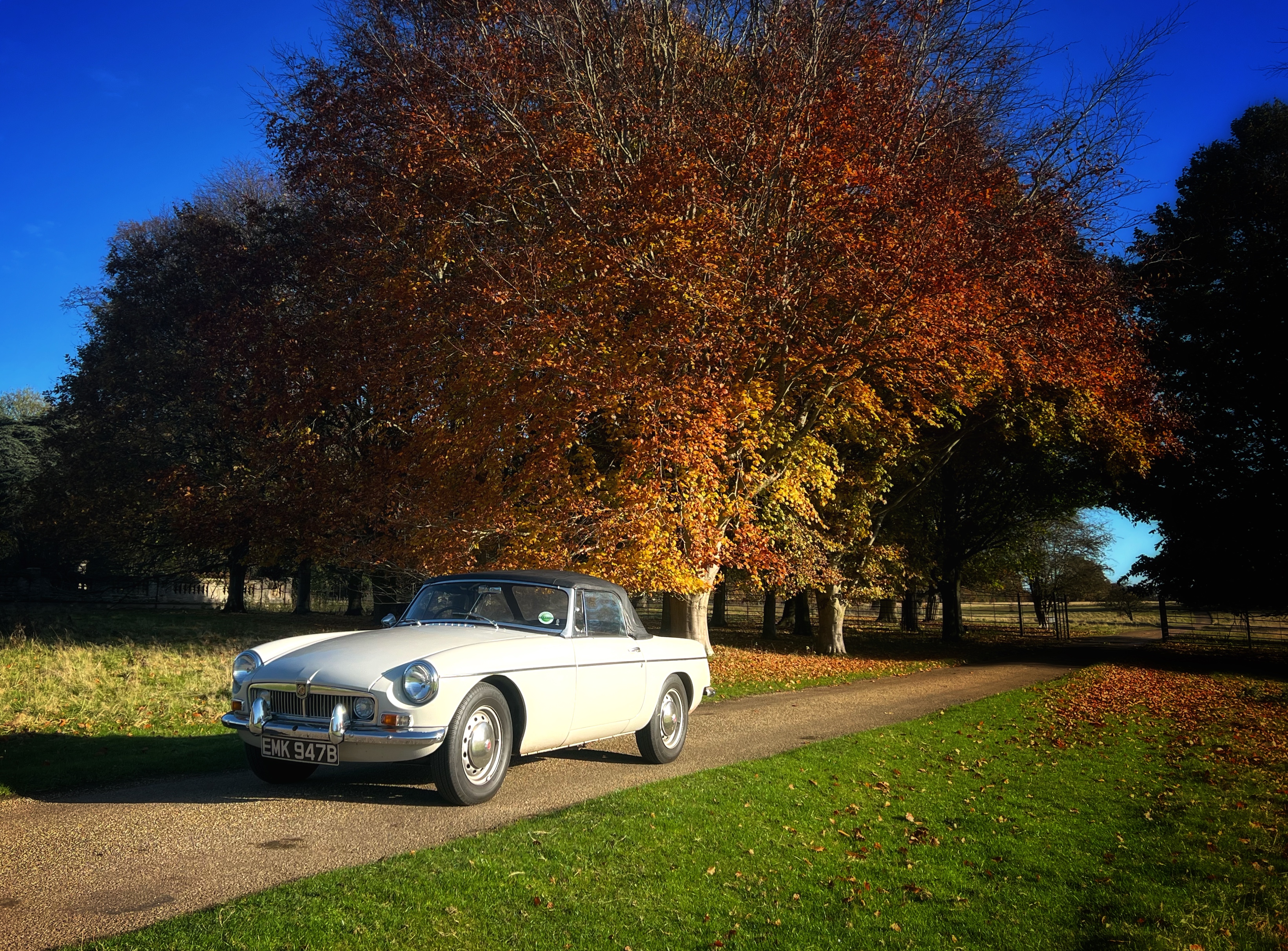 MGB Autumn